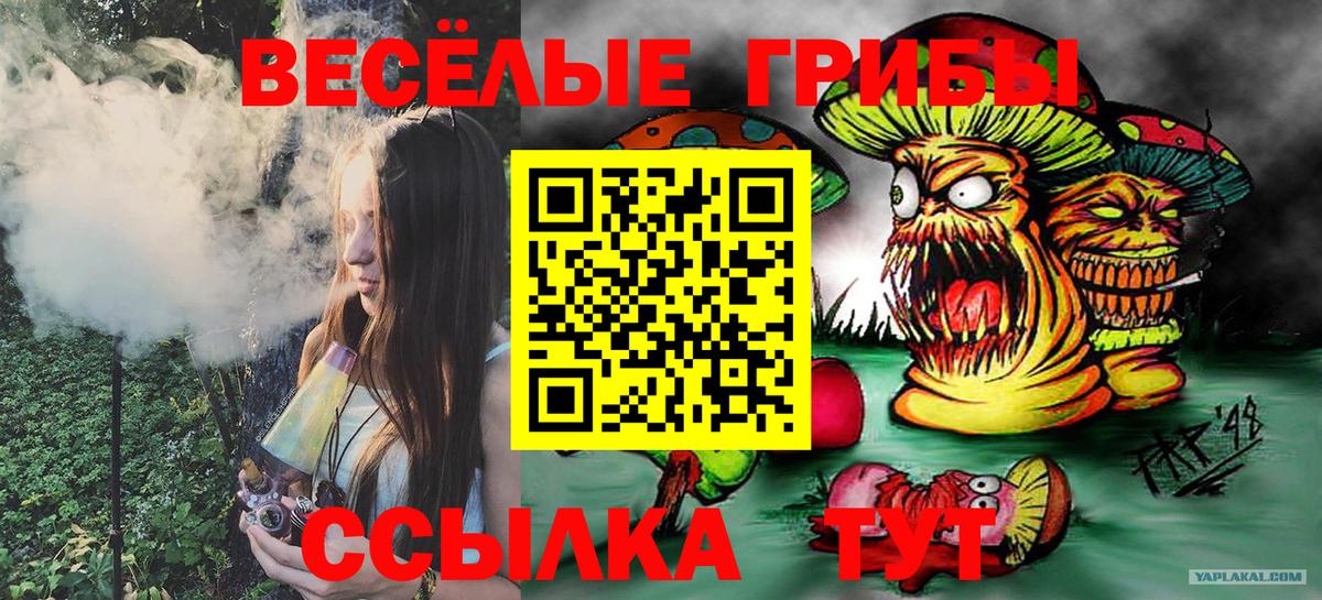 Альметьевск  Псилоцибиновые грибы Cubensis  Вход с VPN 