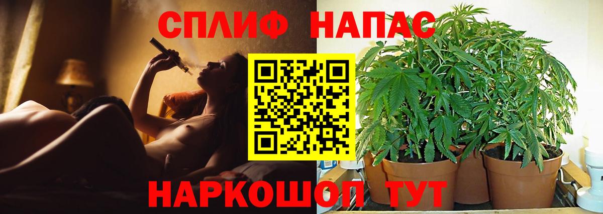 МАРИХУАНА семена Альметьевск